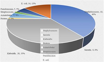 Bacteriological Profile and Predictors of Death Among Neonates With Blood Culture-Proven Sepsis in a National Hospital in Tanzania—A Retrospective Cohort Study